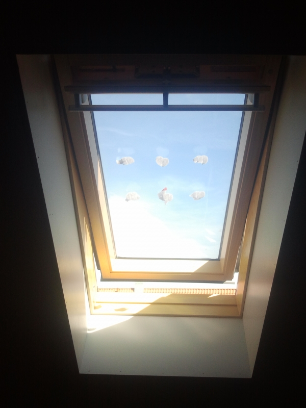 beekbouwzwolle dakraam 3